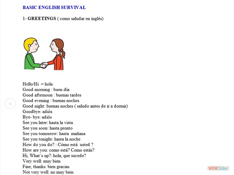 BASIC ENGLISH SURVIVAL, Inglés Básico para Sobrevivir